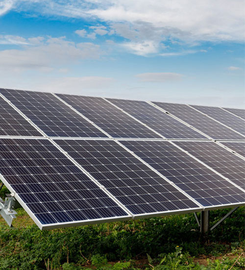 Ground-mounted solar panel array in a field